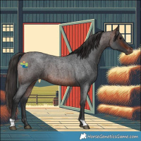 Horse Color:Brown Roan Varnish 