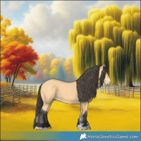 Horse Color:Buckskin 
