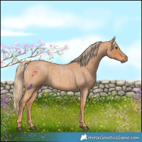 Horse Color:Red Roan 