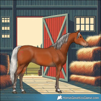 Horse Color:Silver Bay 