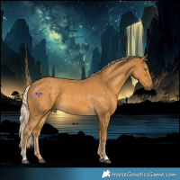 Horse Color:Palomino  and Palomino 