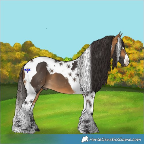 Horse Color:Buckskin Tobiano 