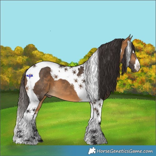 Horse Color:Buckskin Tobiano 