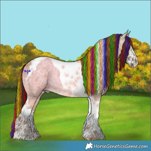 Horse Color:Painted Buckskin Ice Dun Sabino Tobiano Rabicano 