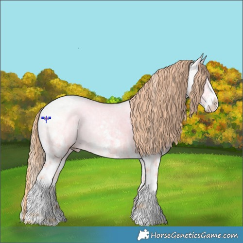 Horse Color:White Spotted Amber Cream Champagne Ice Pearl Onyx Tobiano Rabicano 