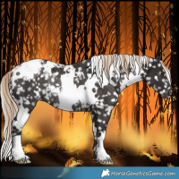 Horse Color:White Spotted Liver Chestnut Snowcap Rabicano 
