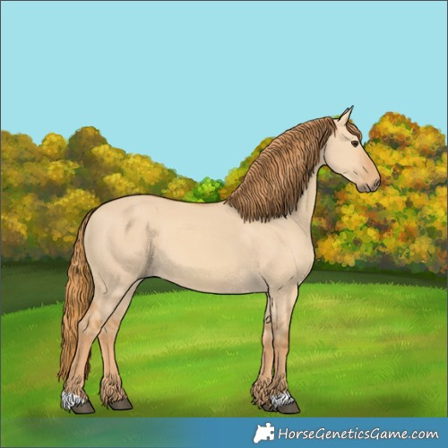 Horse Color:Red Dun 
