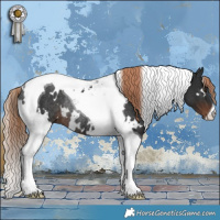 Horse Color:White Spotted Liver Chestnut Tobiano Rabicano
