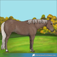 Horse Color:Silver Black 