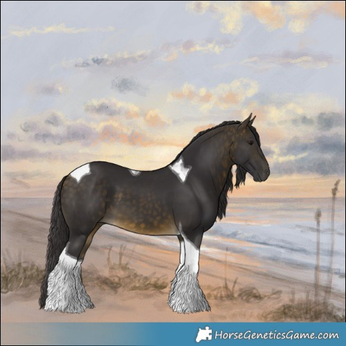 Horse Color:Buckskin Tobiano 