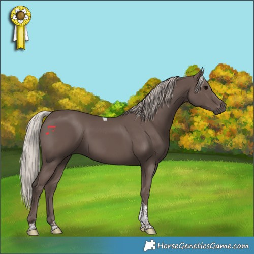 Horse Color:Silver Black Tobiano