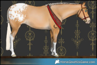 Horse Color:Gray Silver Buckskin Pearl Tobiano Varnish 