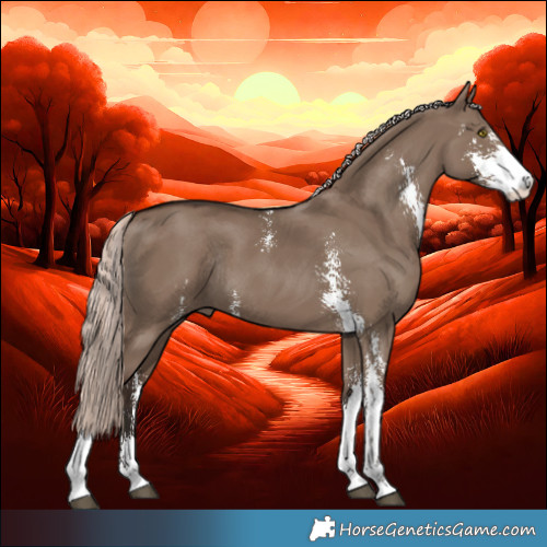 Horse Color:Liver Red Dun Mushroom Sabino Rabicano 