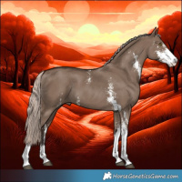 Horse Color:Liver Red Dun Mushroom Sabino Rabicano