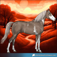 Horse Color:Liver Red Dun Mushroom Sabino Rabicano 