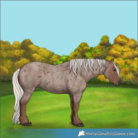 Horse Color:Silver Blue Roan 
