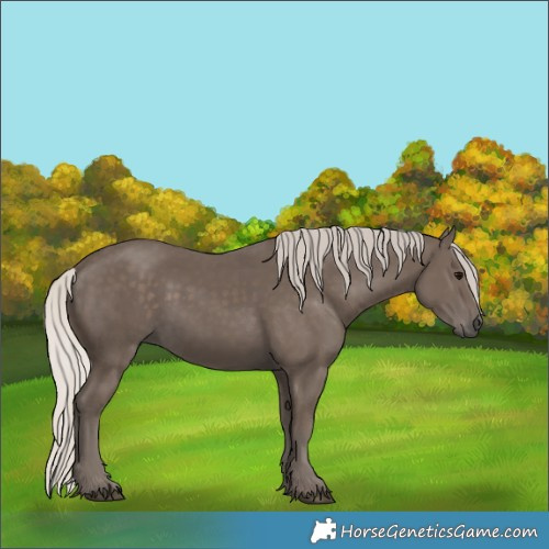 Horse Color:Silver Black 