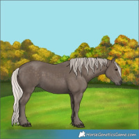 Horse Color:Silver Black