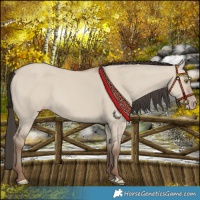 Horse Color:Classic Champagne Dun 