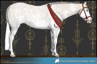 Horse Color:Silver Smoky Creme Roan Sabino Splash 