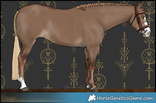 Horse Color:Liver Red Dun Sabino Rabicano 