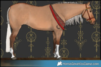 Horse Color:Silver Bay Dun Tobiano Rabicano 