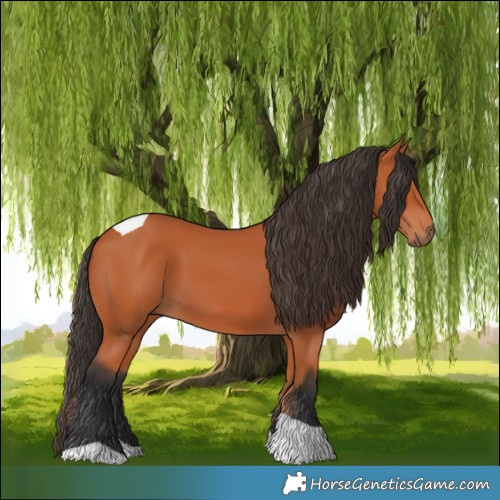 Horse Color:Bay Tobiano 