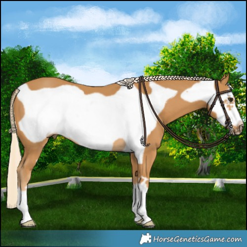 Horse Color:Palomino Frame 