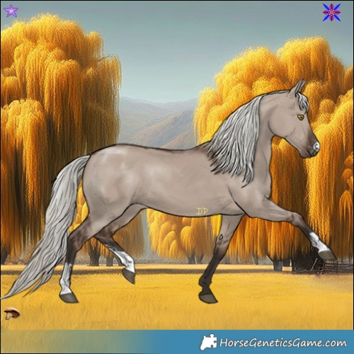 Horse Color:Liver Red Dun Mushroom Sabino Rabicano 