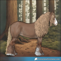 Horse Color:Liver Red Dun Sabino Rabicano 