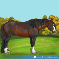 Horse Color:Brown 