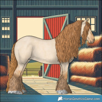Horse Color:Red Dun Roan