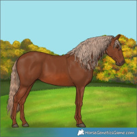 Horse Color:Chestnut 