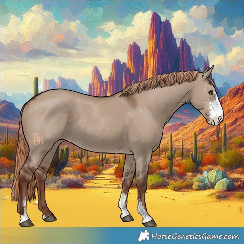 Horse Color:Liver Red Dun Sabino Rabicano 