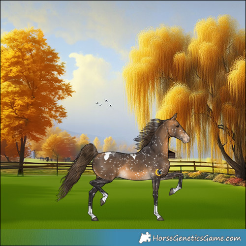 Horse Color:Buckskin Tobiano Snowflake Varnish 