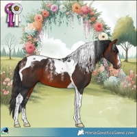 Horse Color:Powder White Bay Tobiano 