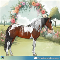 Horse Color:Powder White Bay Tobiano 