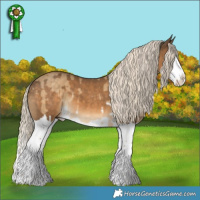 Horse Color:Chocolate Palomino Dun Splash and Chocolate Palomino Splash
