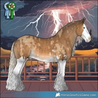 Horse Color:Chocolate Palomino Dun Splash and Chocolate Palomino Splash