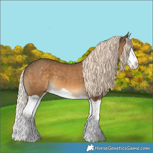 Horse Color:Chocolate Palomino Splash 