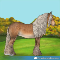 Horse Color:Chocolate Palomino