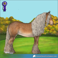 Horse Color:Chocolate Palomino 