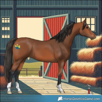 Horse Color:Bay 