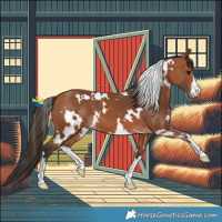 Horse Color:White Spotted Bay 