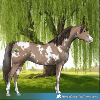 Horse Color:White Spotted Classic Champagne 
