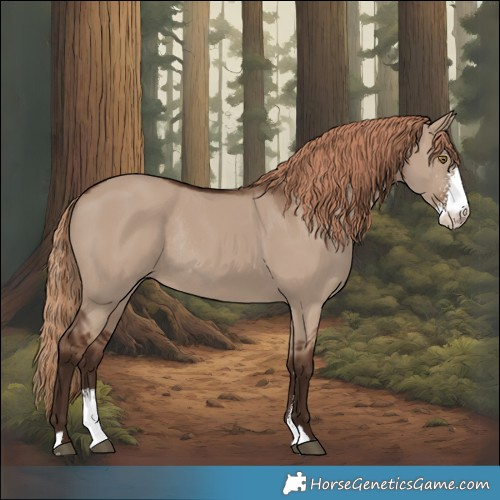 Horse Color:Liver Red Dun Sabino Rabicano