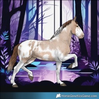 Horse Color:Red Dun Roan Splash Tobiano Frame Blanket Rabicano 