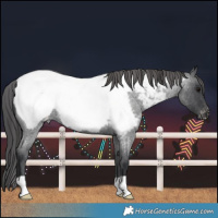 Horse Color:Blue Roan Snowcap
