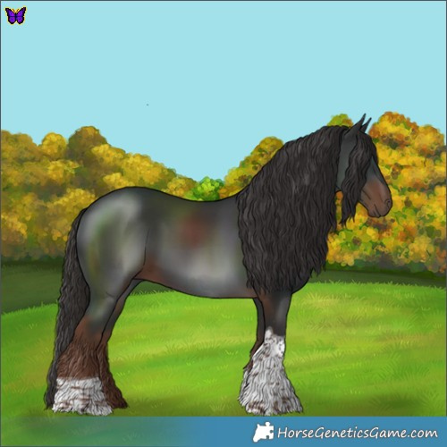 Horse Color:Liver Chestnut Tobiano 