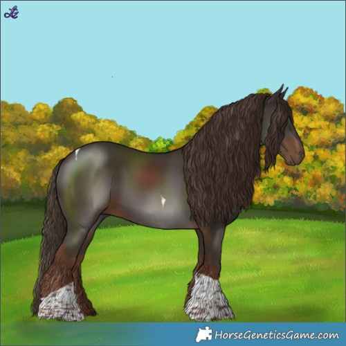 Horse Color:Liver Chestnut Tobiano